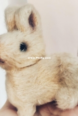 bunny