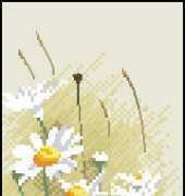 Heritage Stitchcraft - Flower Panels JCDA877 Daisies Panel by John Clayton XSD