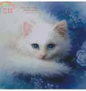 HAEKAH 120 White Lady