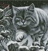 Snow Cat / Hurry On Home by Irina Garmashova