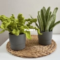 Gek op Haken - Bumble Beez Design - Sharon Facey - Plant Duo: Variegated Snake Plant and Harts Tongue Fern - Planten Duo: Vrouwentong en Tongvaren - Dutch