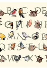 Orbis Pictura - Bird Alphabet (Abecedaire des oiseaux)