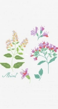 DMC - Herbs - Mint