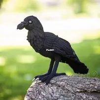 Crafty Intentions - Megan Lapp - Standing Raven