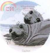 Couchman Creations CC018 - Seal Pups