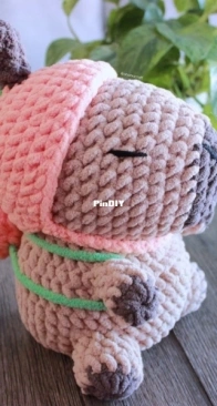 Ohana Craft - Carrie Lu Fowler - CapyBara