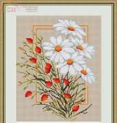 Luca-S- B290 - Marguerites XSD
