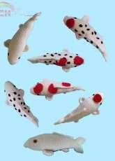 Erica McBride and Soft Science  - Amigurumi Koi Fish 6 Colors Realistic