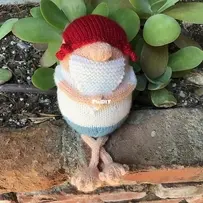 Global Warming Gnome by Sharon Mooney