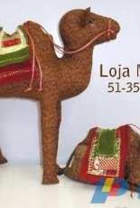 Loja Mimosa - Camelos Portuquese