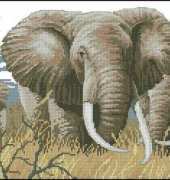 Dimensions 35012 Power of the Serengeti