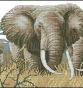 Dimensions 35012 Power of the Serengeti