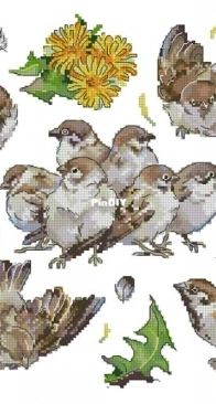 Letistitch L8803 Sparrows XSD