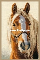 Alisa 1-17 Horse/Adele (xsd)