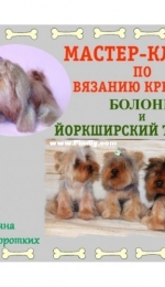 TatyanaKo - Tatyana / Tatiana Korotkikh - Bichon and Yorkshire Terrier - Татьяна Коротких - Болонка и Йоркширский терьер - Russian