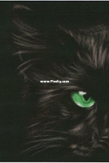 Shinysuns Cross Stitching Cats Eye