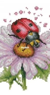 Luca-S BC231 Field flowers XSD