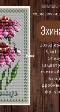 Echinacea by Tatyana Kormashova