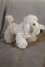 poodle