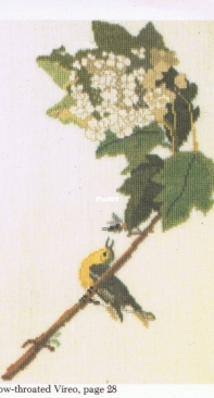 Yellow-Throated Vireo from Audubon Birds by Ginnie Thompson - Repaint