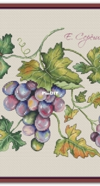 Grape by Ekaterina Seryogina/Серёгина
