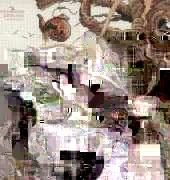 Dimensions 35087 - Too Pooped
