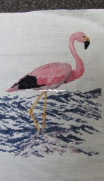 Pink Flamingo.