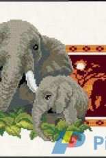 Riolis C104 - The Elephants