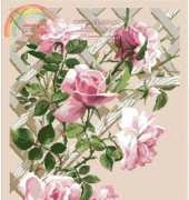 Riolis 898 - Roses XSD