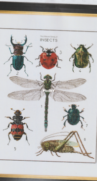 566A - The History of Insects by Thea Gouverneur