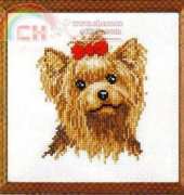 Vervaco 70.505 Yorkshire terrier