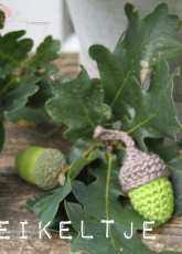 Inhaken - little acorn -Dutch - free