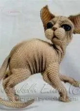 Elena Makeenkova - Sphynx Cat - English- Translated
