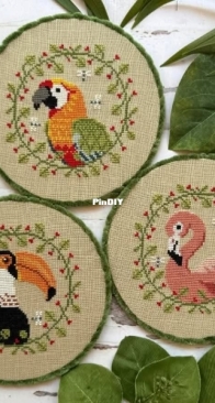 Puntini Puntini- tropical birds