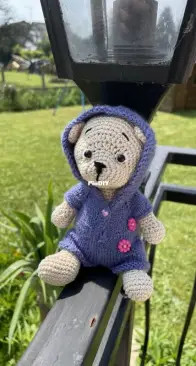 Teddy bear wih overalls