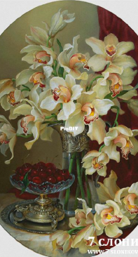 7 Elephants - White Pink Cymbidium In A Vase