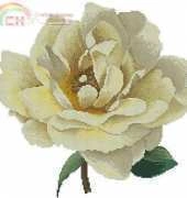 DMC BK601 Yellow Rose