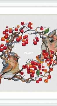 Waxwings by Anna Ulchitskaya