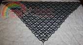 Melissa Friedlund.. Web of Flowers Lace Shawl- Free