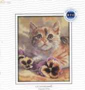RTO M269 - Cat Daydreaming