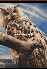 Witchykitt Designs - Look of the Owl