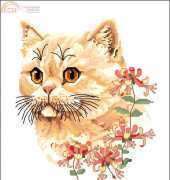 The Exotic Shorthair - Summer Cat by Jayne Netley Mayhew from Cats of the World in Cross Stitch 2002 XSD