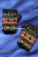 Tempo by Mandy C. - Free