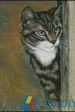 Shinysuns Cross Stitching - Around the Corner