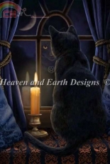 HAED Midnight Vigil by Lisa Parker