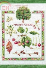 Lanarte 34266 - Cherry Study Sampler by Marjolein Bastin