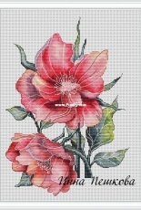 Flower Rapsody -  Wild Rose Blues by Inna Peshkova