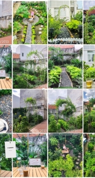 V-garden - My DIY garden after 11 months