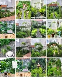 V-garden - My DIY garden after 11 months