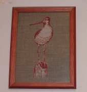 Seagull